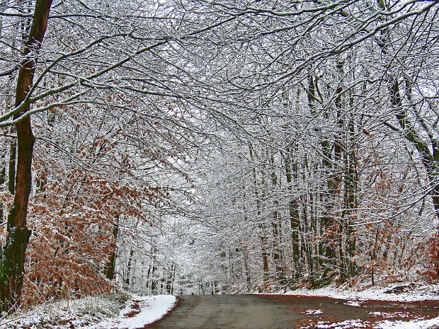 QuickLoggersBigRockOct2020