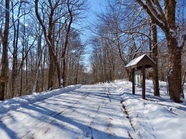 QuickLoggersClockMar2022