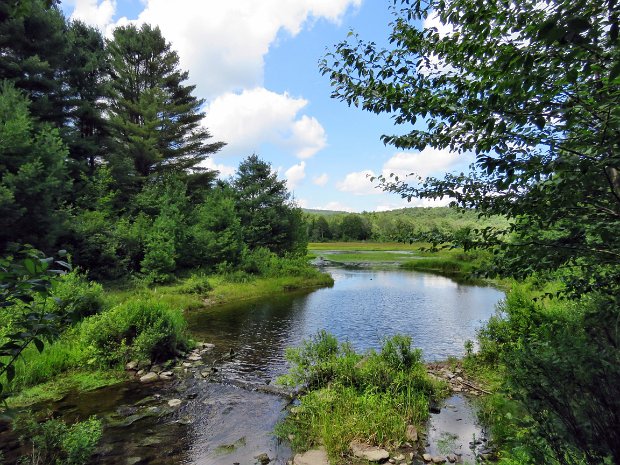 QuickLoggersMaintenanceAug2023