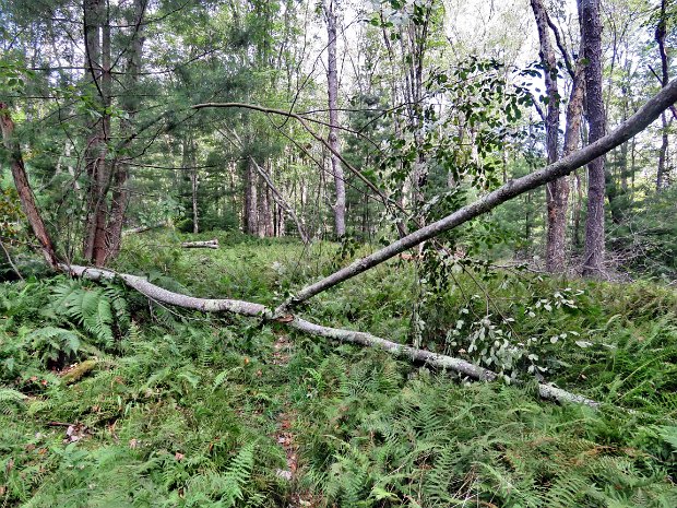 QuickMaintenanceAug2024