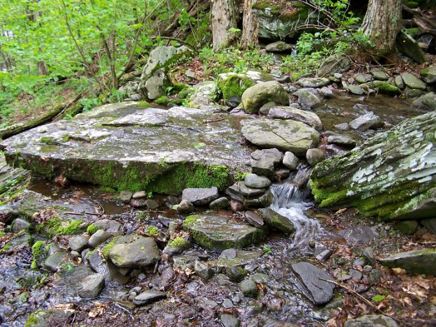 HalcottSleepingLionMay2009