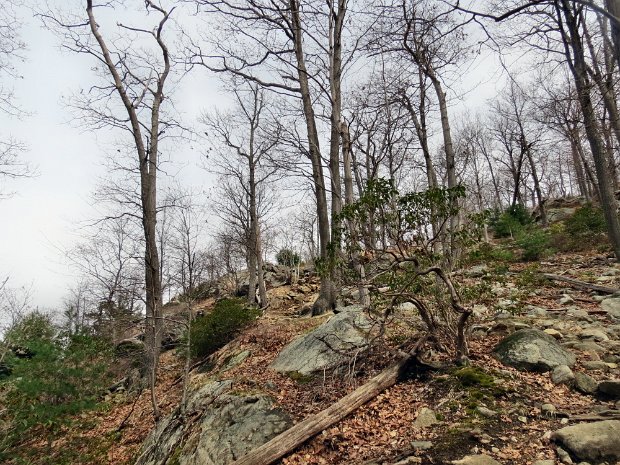 AnthonyWayneLoopApr2014