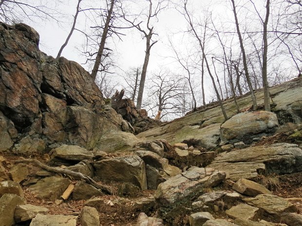 ClaudiusSmithJan2016