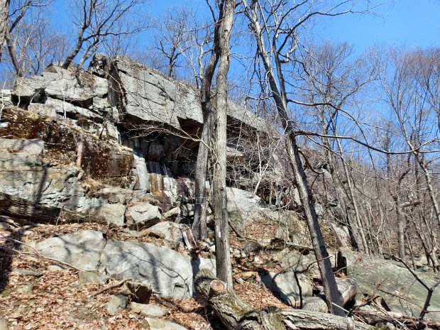 ElkPenLittleDamApr2014