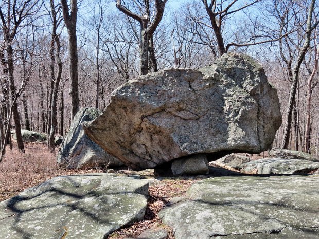 TioratiLemonSqueezerApr2014