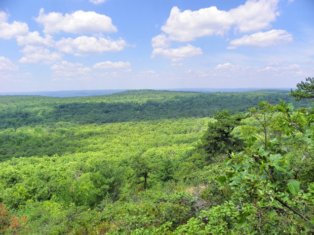 LakeRutherfordJul2010