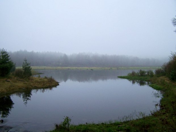 HodgePondMongaupMay2009