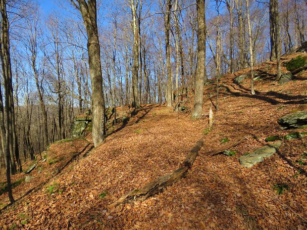 MongaupMtHodgeLookoutNov2020