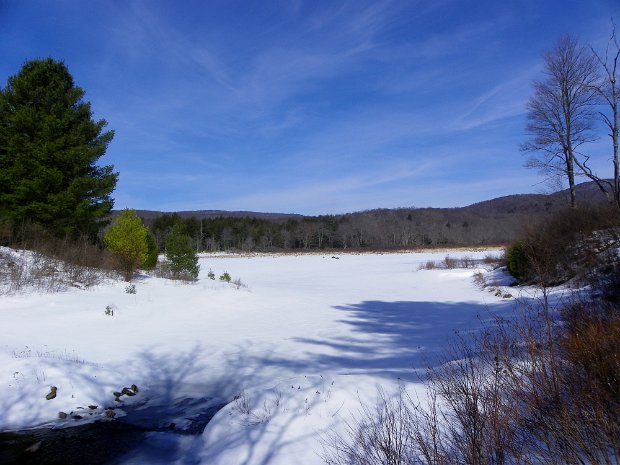 Hodge Pond and Mongaup Mountains