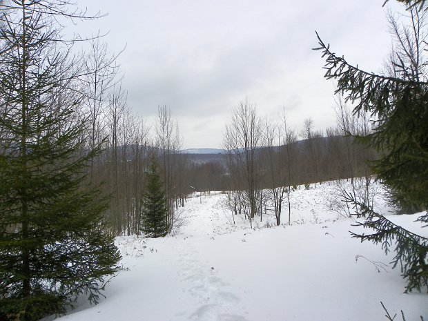 HubbellHillFeb2011A