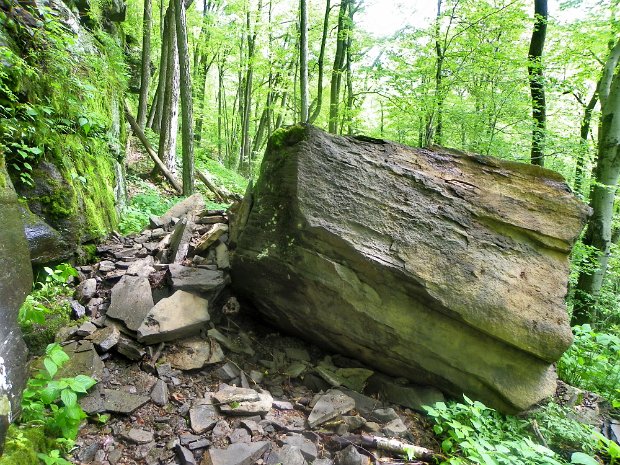 HunterSWHunterMay2011