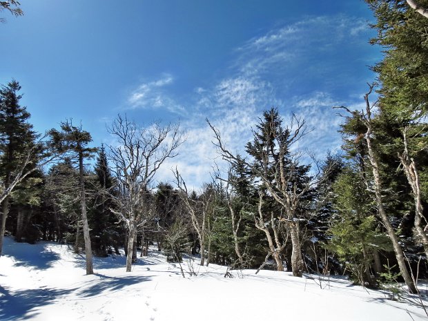 HunterSprucetonApr2015