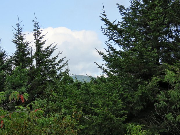 HunterSprucetonAug2018