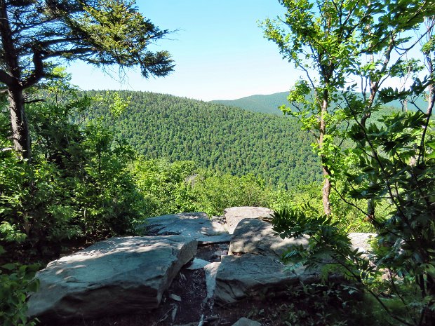 HunterSprucetonJun2016