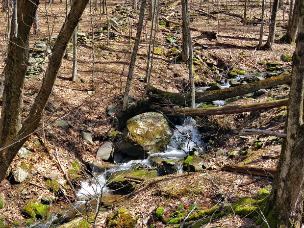 HuntersfieldLoopMay2018