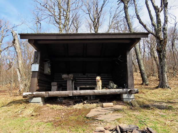 HuntersfieldPartridgeRdApr2017