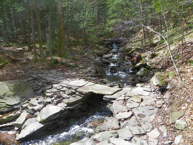 IndianHeadTwinApr2011