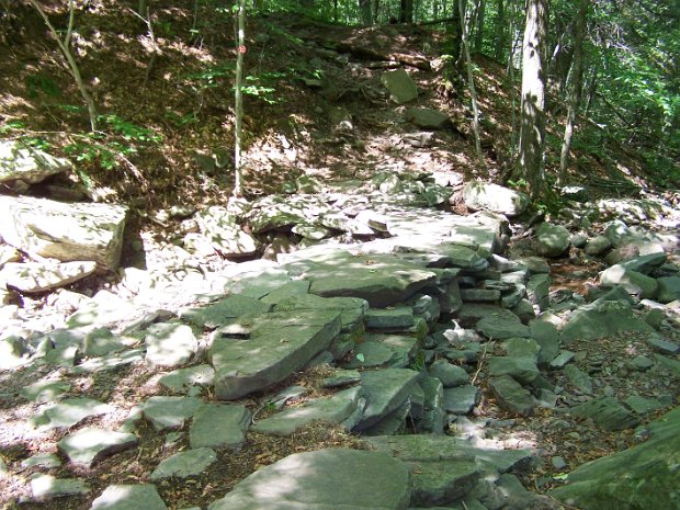 IndianHeadTwinAug2006