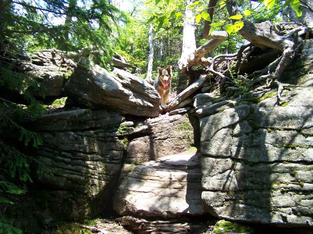 IndianHeadTwinSugarloafJun2007