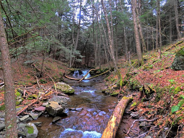 KellyHollowFigure8Apr2020