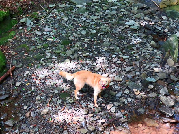 KellyHollowFigure8Aug2020