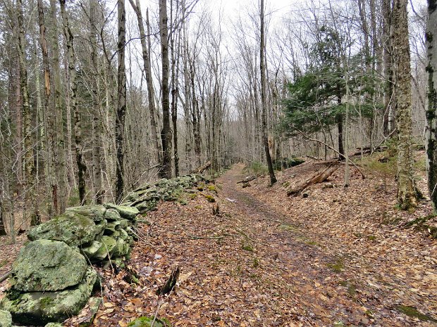 KellyHollowFigure8Mar2019