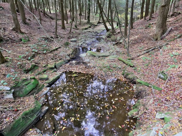 KellyHollowFigure8Oct2017