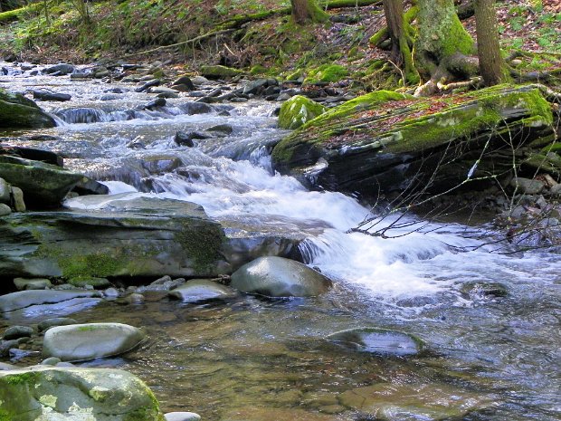 MillbrookRidgeDec2011