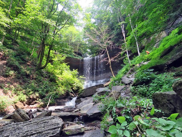 Labrador Unique Area