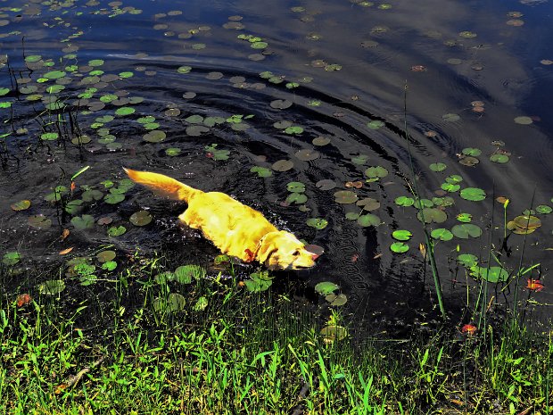 LakeSuperiorLoopMay2020