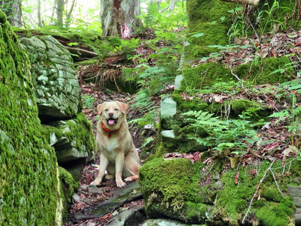 BigLittlePondJul2022