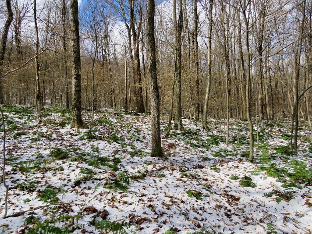 BigLittlePondsNov2018