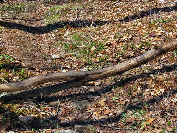 TouchMeNotMaintenanceApr2016