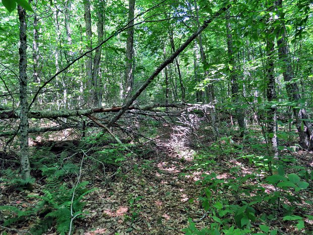 TouchMeNotMaintenanceJul2019