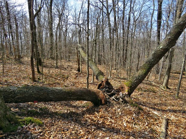 TouchMeNotMaintenanceMar2016