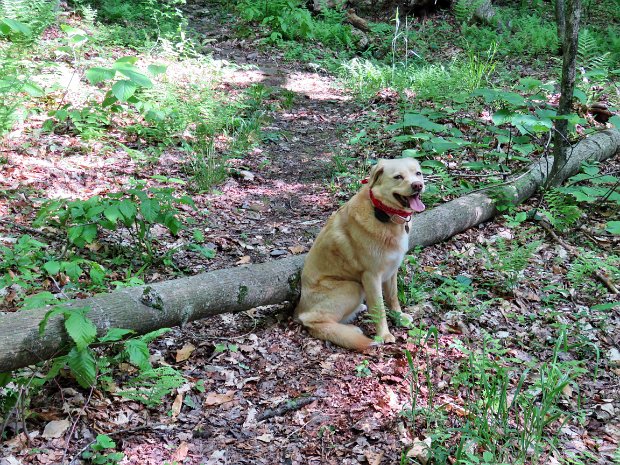 TouchMeNotMaintenanceMay2018