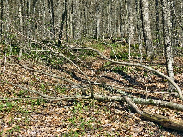 TouchMeNotMaintenanceMay2024