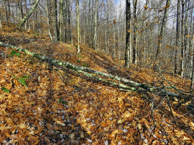 TouchMeNotMaintenanceNov2016