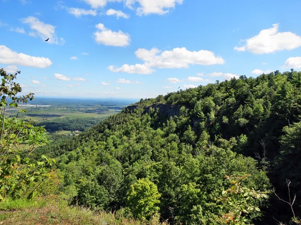 BeaverDamRdRyanRdAug2014