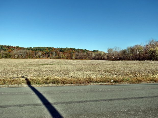 BermeRdLundyQuarryNov2014