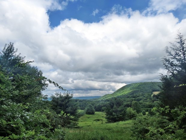 ConesvilleManorkillFallsAug2014