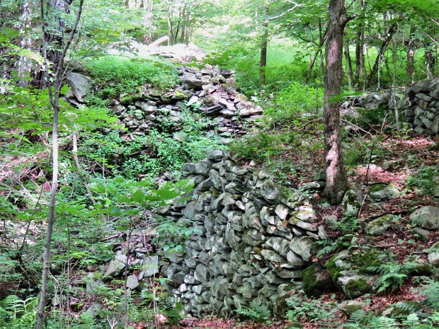 DoneyHollowOldCemeteryRdJul2014