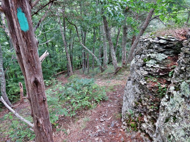 MiddleburghTreadlemireRdAug2014