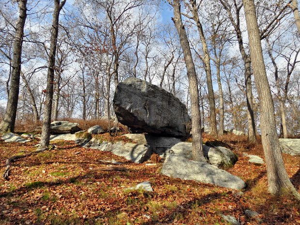 TioratiHippoRockOct2014