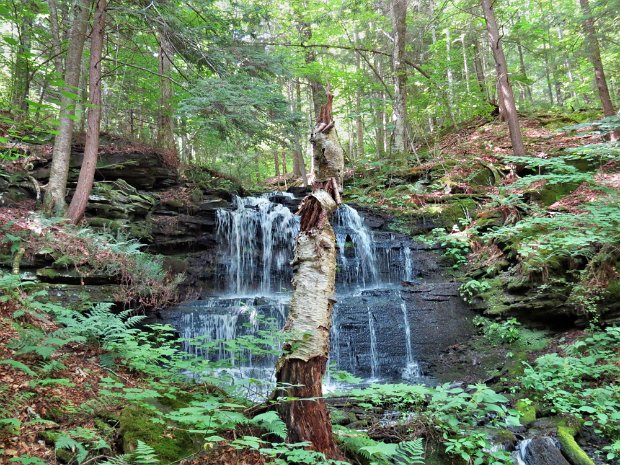WestFultonOldCemeteryRdJul2014