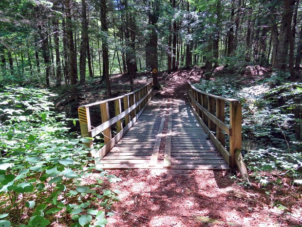 LongMongaupClockJul2019