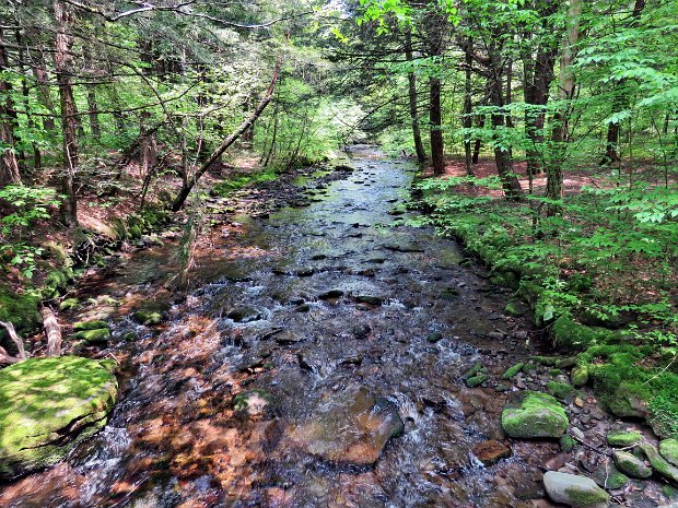 LongPondFigure8Jun2019