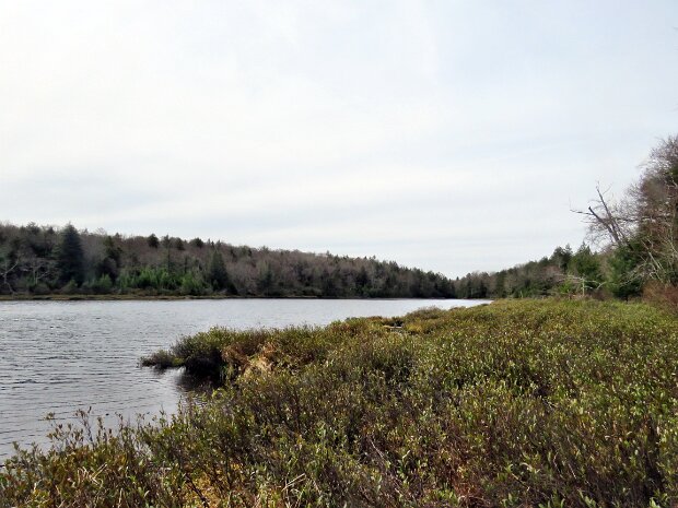 LongPondLoopApr2026