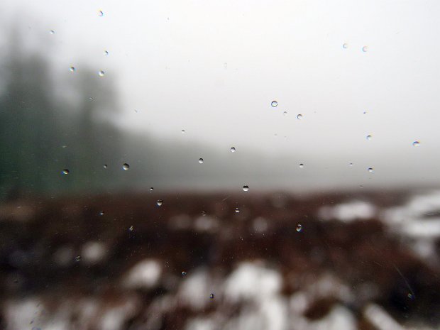 LongPondShortLoopDec2018