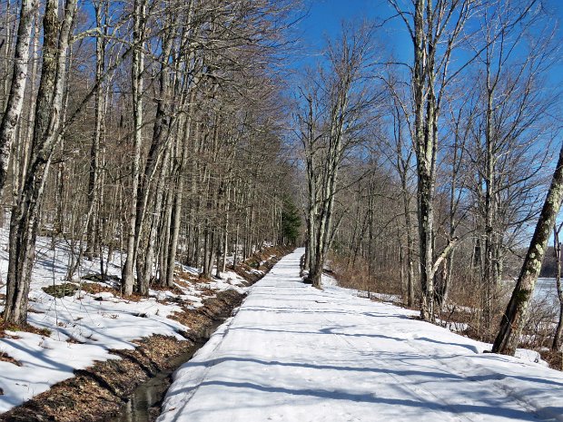 LutheranvilleMootRdMar2021